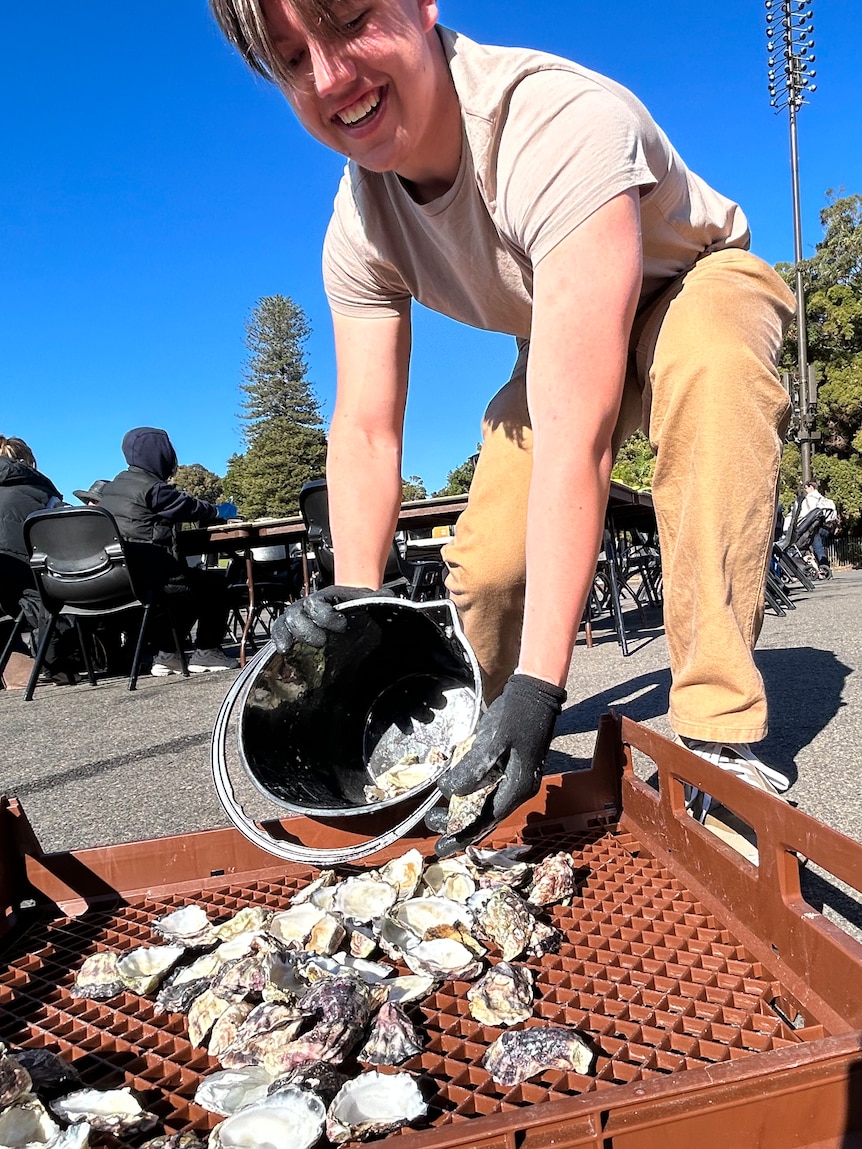 A teenage boy pouring a bucket of oyster shells onto a tray. 