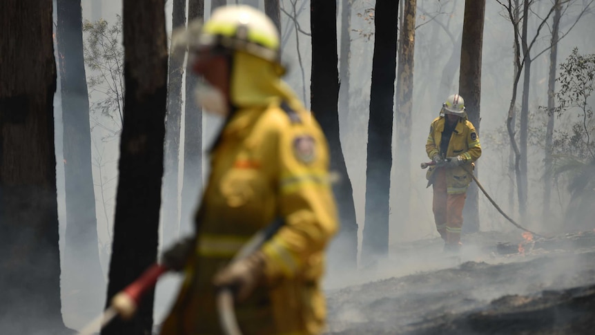 Two firefighters in yellow uniforms walk through an area of blackened trees after a bushfire.