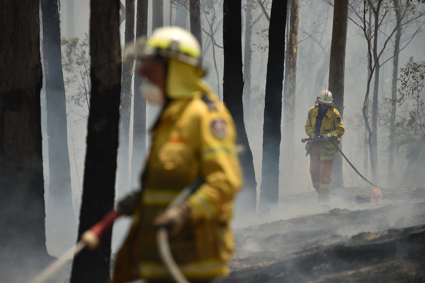 Two firefighters in yellow uniforms walk through an area of blackened trees after a bushfire.