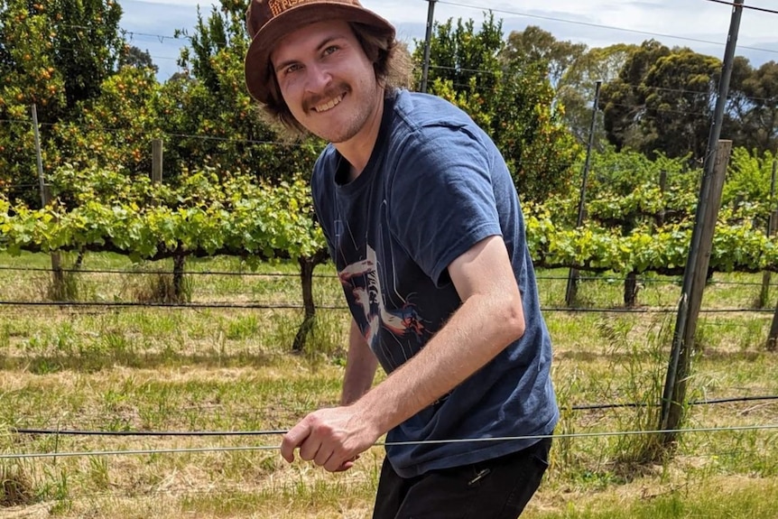 A man with blonde hair outside at a vineyard. There are grapevines with green leaves.