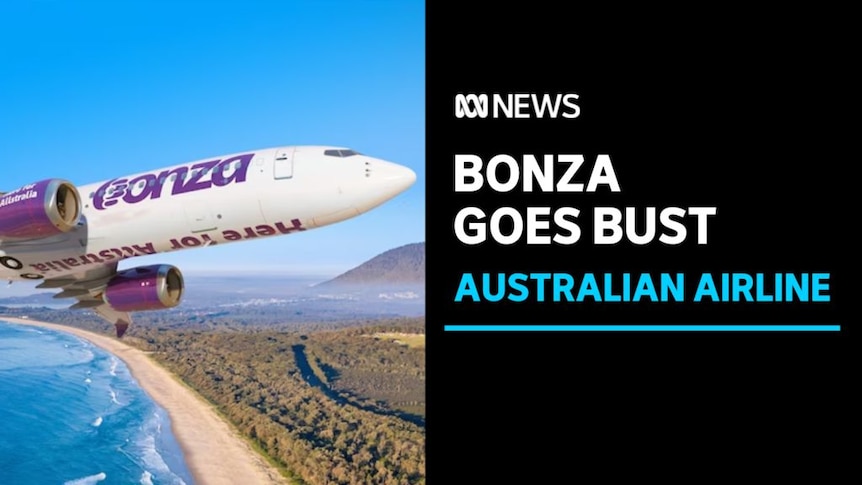 Bonza Goes Bust, Australian Airline: Graphic rendition of a Bonza airliner flying over a beach.
