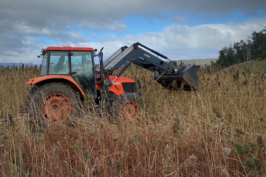 An excavator works in a field.