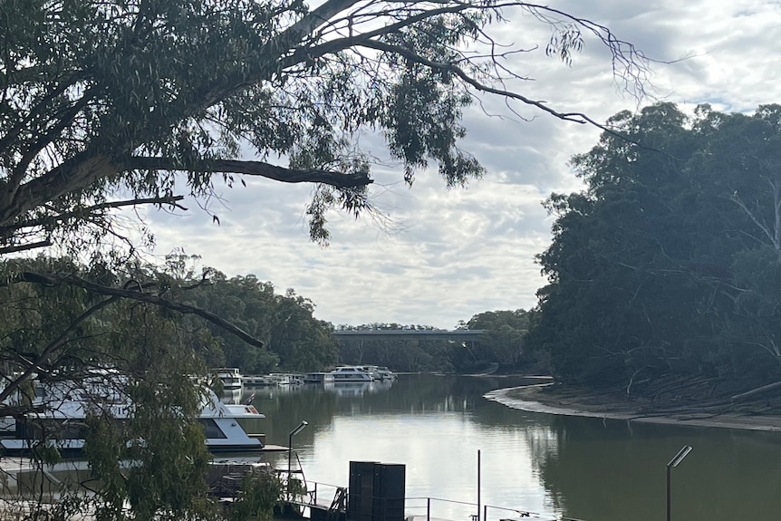 Landscape shot of the Murray River with the bridge in the background.