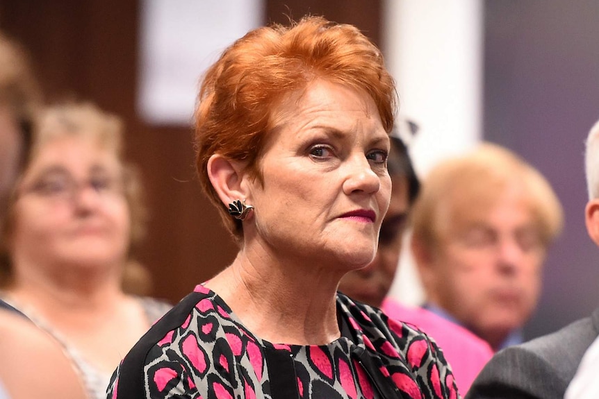 One Nation party leader Pauline Hanson.