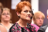 Pauline Hanson frowns