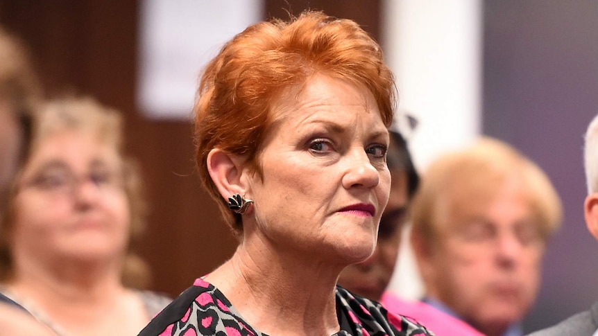 Pauline Hanson frowns