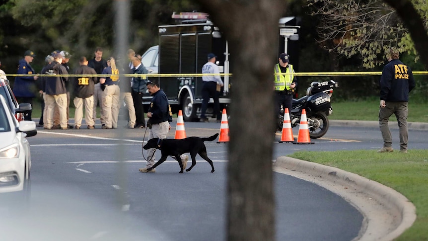 Officials work near the site of Sunday's deadly explosion in Austin. There is a dog and a truck.