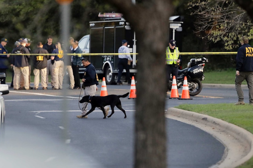 Officials work near the site of Sunday's deadly explosion in Austin. There is a dog and a truck.