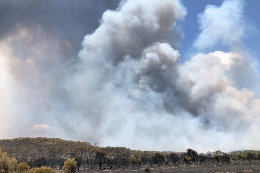 A plume of smoke fills the sky with blackened and burnt vegetation in the foreground.