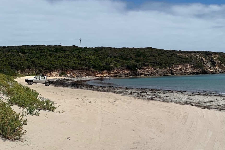 A beach with dunes covered in greenery behind, a white ute parked on the sand