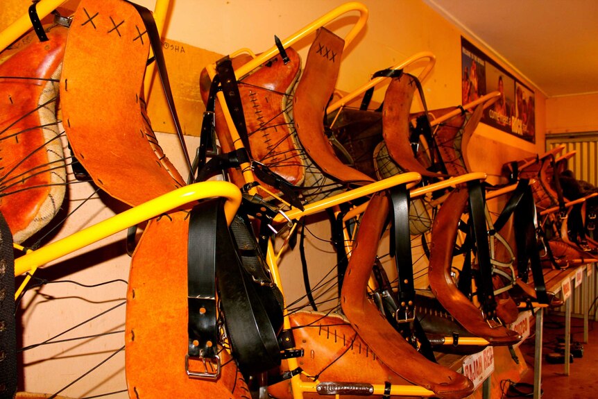 Hand made camel saddles racked up against each other. They are made of a steel frame and leather seating.