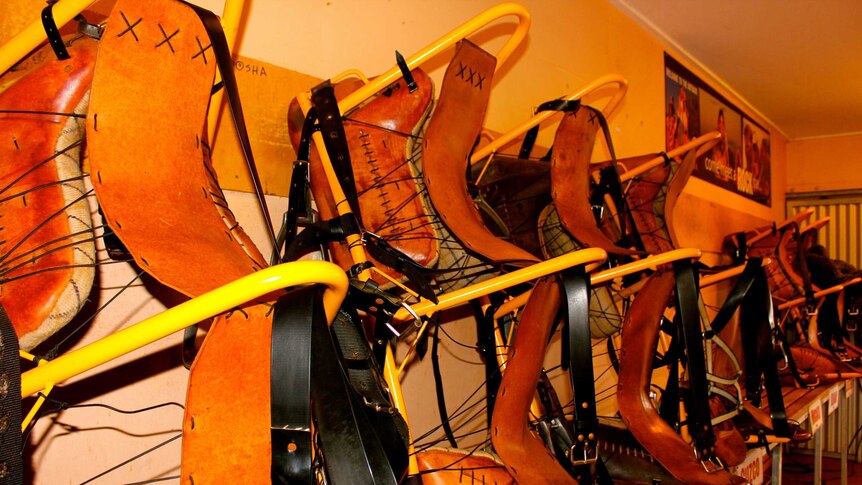 Hand made camel saddles racked up against each other. They are made of a steel frame and leather seating.