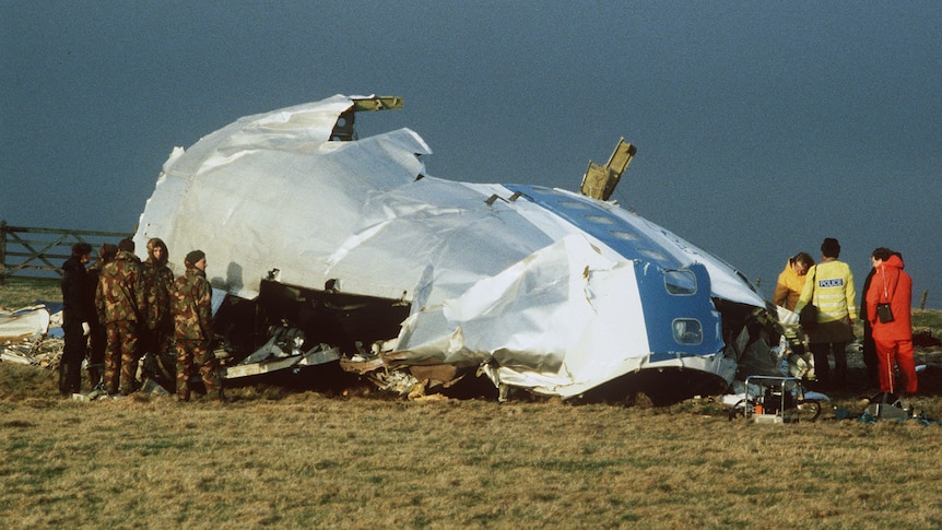 People in uniform and fluro clothing surround the plane that has crashed on grass. 