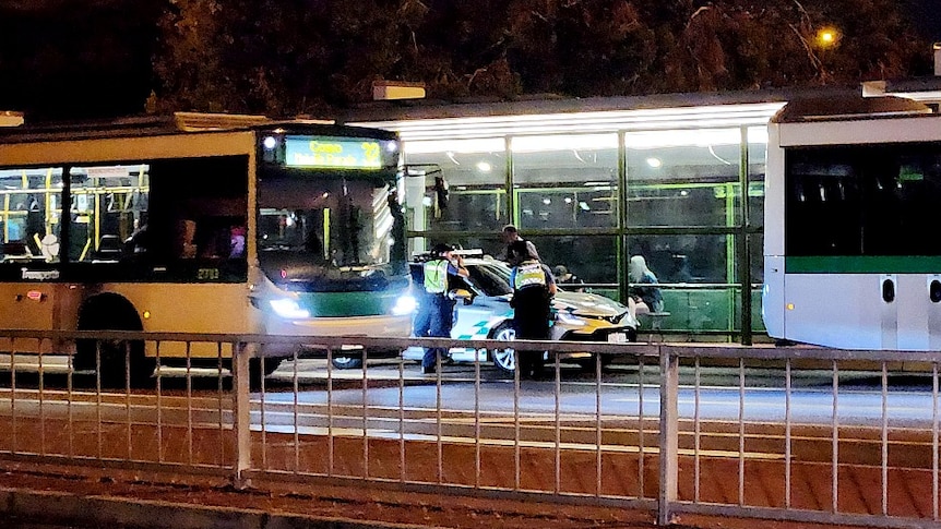 Transperth officers stand in between two buses