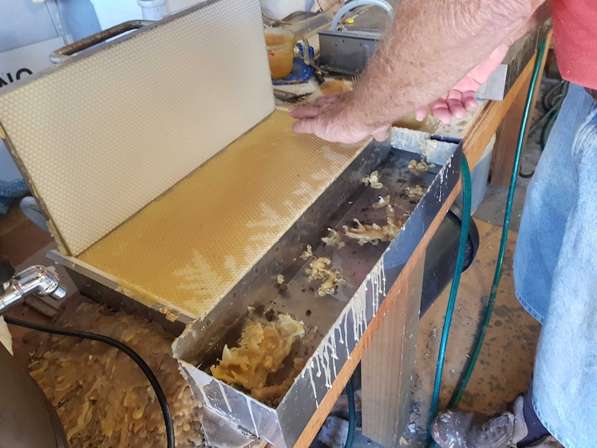 beeswax in a waffle-maker-like cooling machine.