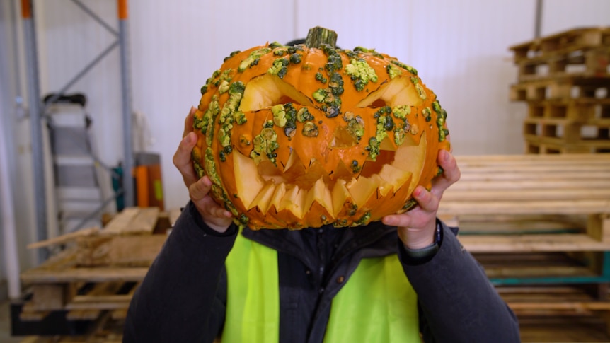Thanh Truong is holding a jack-o'-lantern made from a warty goblin pumpkin. It's bright orange with green lumps on the outside