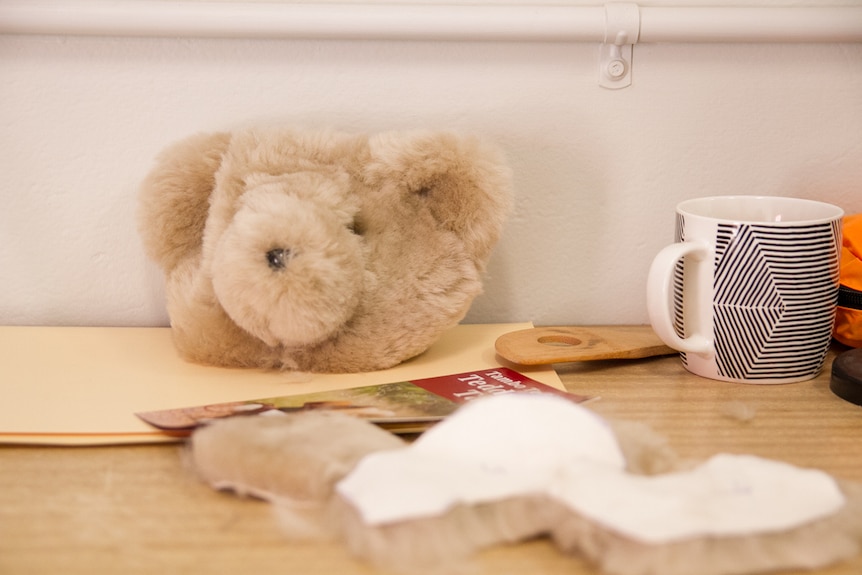 The head of a Tambo Teddy sitting on a table ready to be attached.