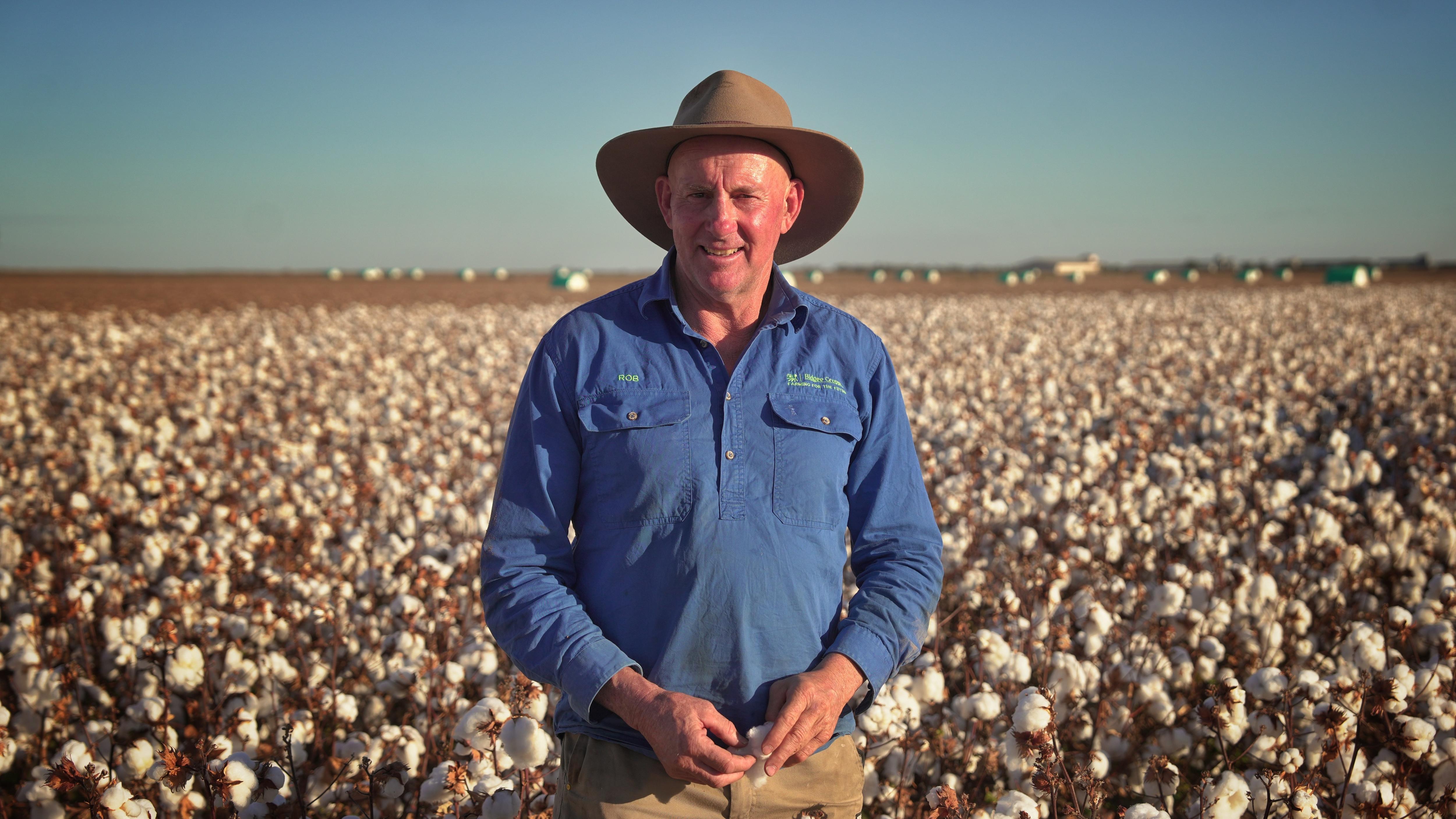 A farmer standing in front of a cotton field.