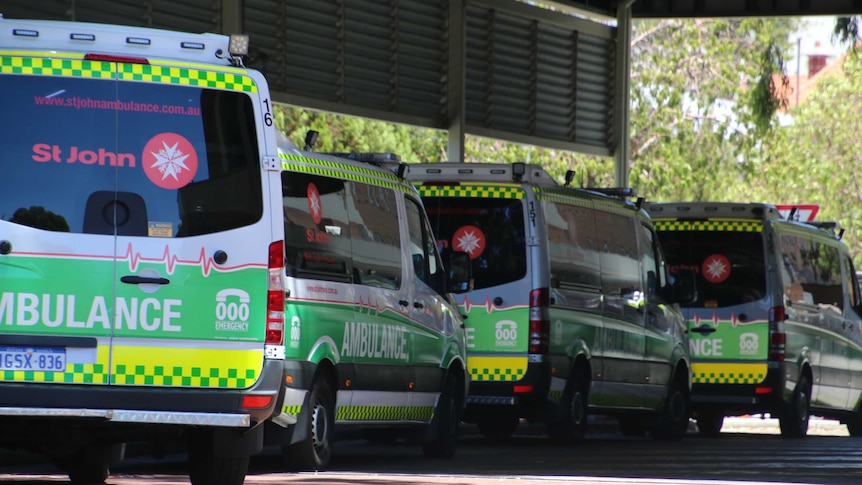 A long line of ambulances.