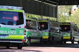 A long line of ambulances.
