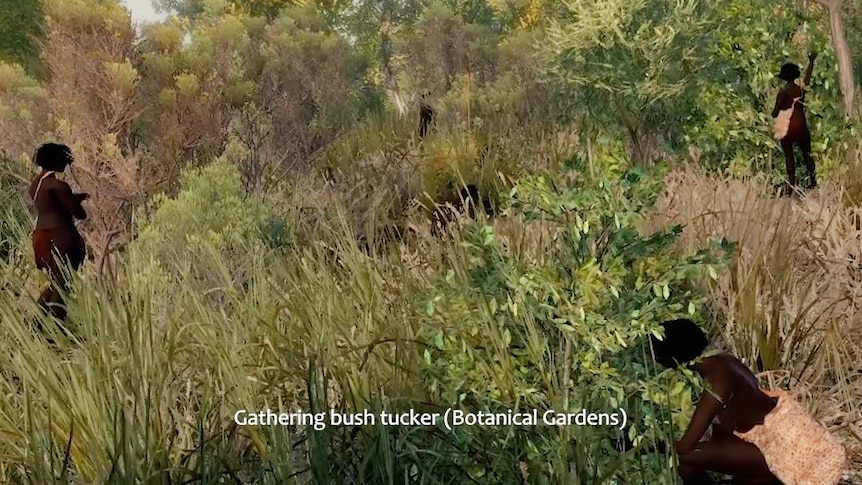 Aboriginal woman collecting bush tucker.