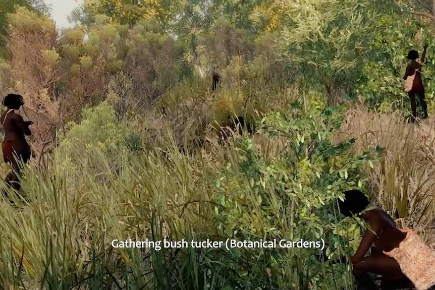 Aboriginal woman collecting bush tucker.