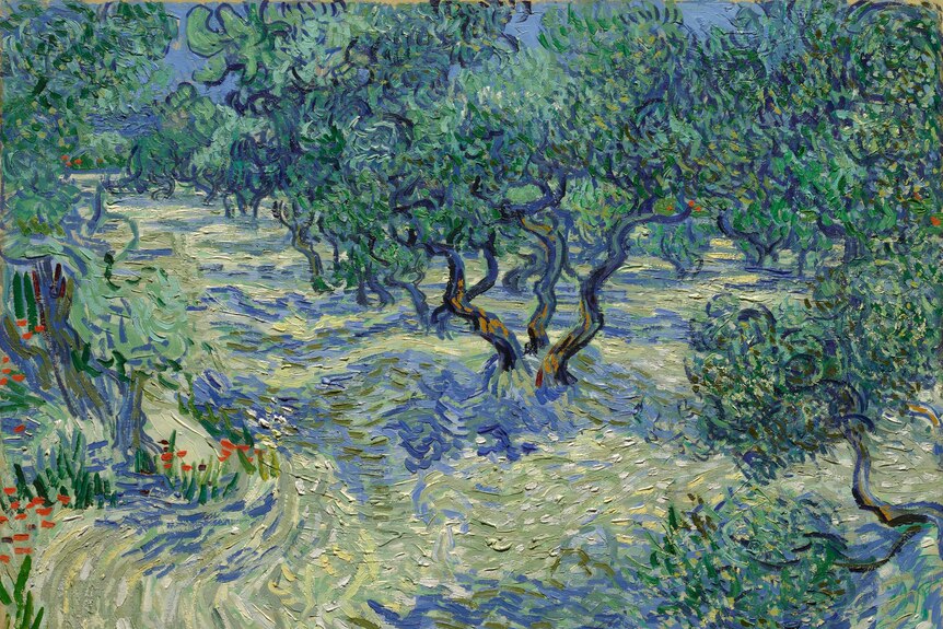 A painting of olive trees in a field by Vincent Van Gogh. It's OK, but it's no Starry Night.