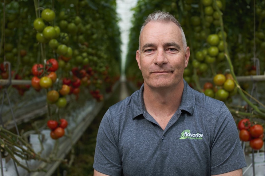 Photo of a man smiling in front of tomato bushes.