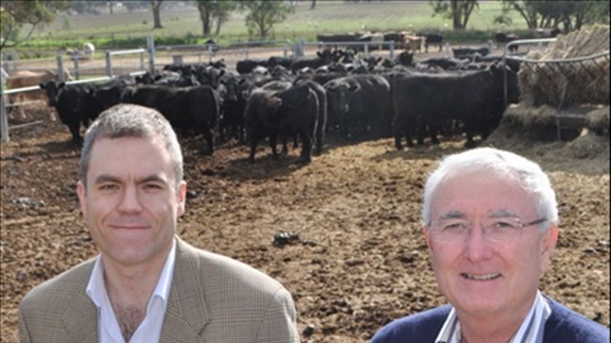 Tom Maguire and Geoff Teys stand in front of a mob of cattle