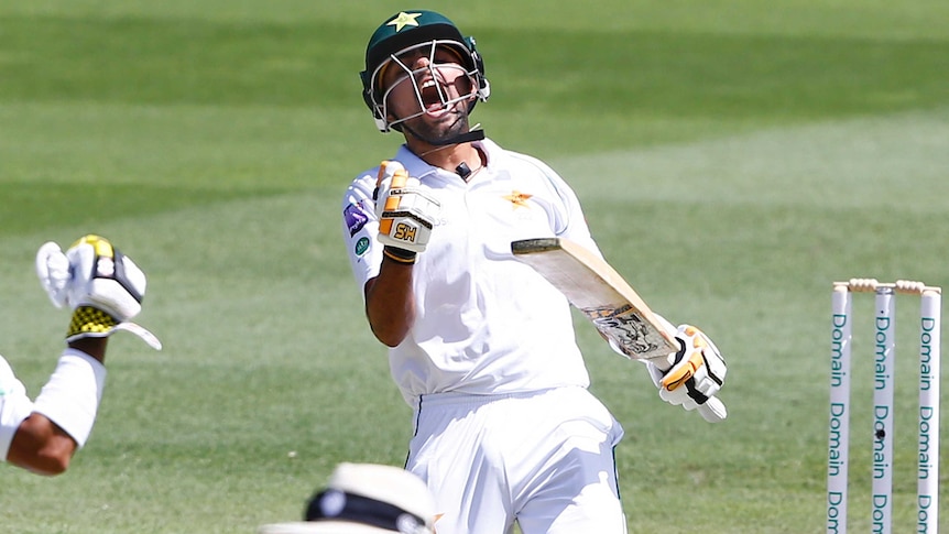 A batsman roars in celebration after completing a Test century.