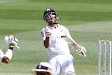 A batsman roars in celebration after completing a Test century.