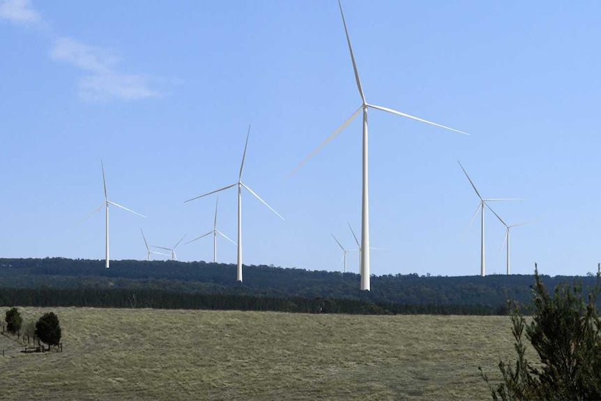 A computer-generated image of wind turbines inside a pine plantation.