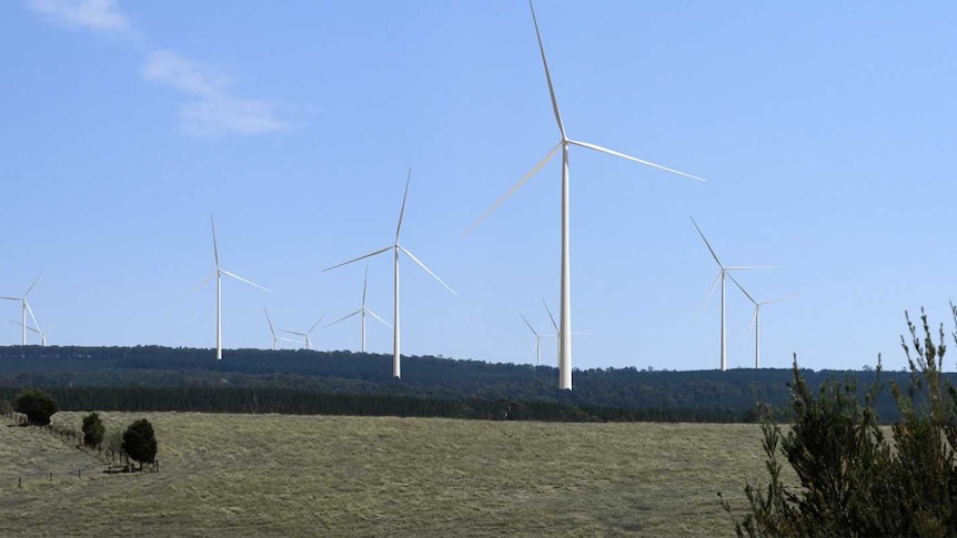 A computer generated image of wind turbines inside a pine plantation.