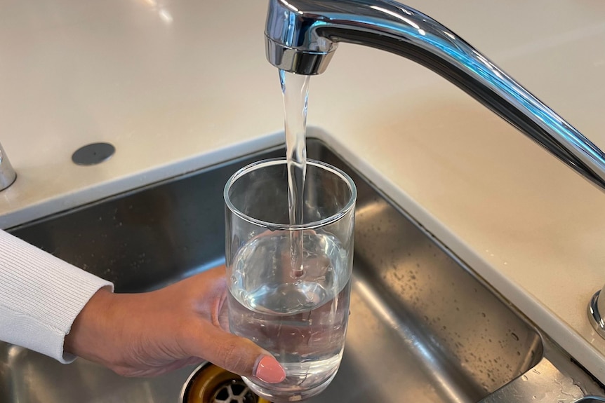 A close up of a person filling up a glass of water from a tap in a kitchen sink. 