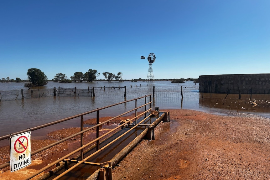 A flooded sheep station in the outback.  