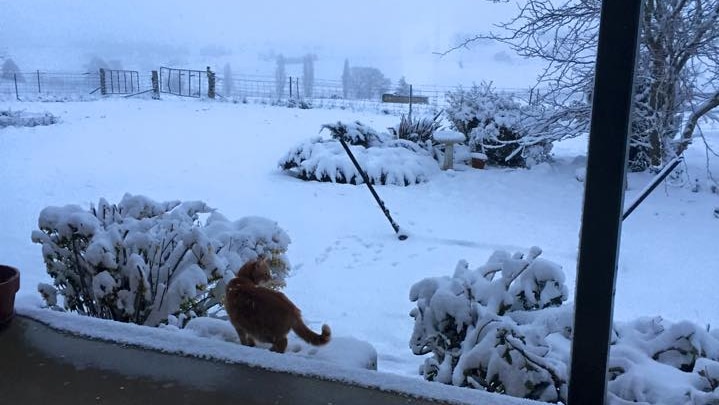 Snow at Blayney