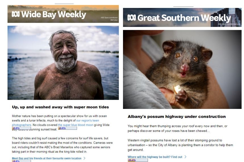 A picture of a man at the beach and another picture of a small possum.