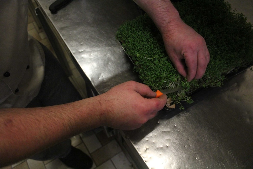 Chef Daniel Keck prepares micro herbs at the Tinamba Hotel.