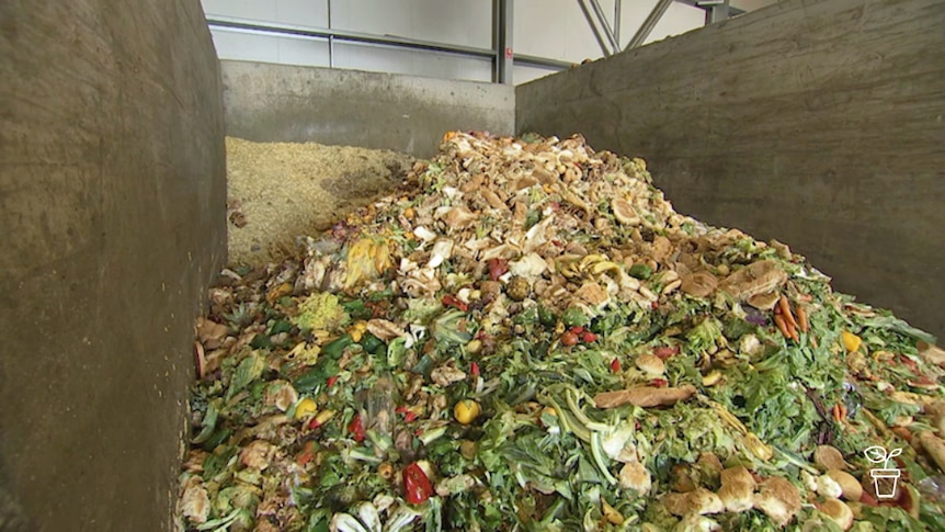 Large steel bay filled with food scraps