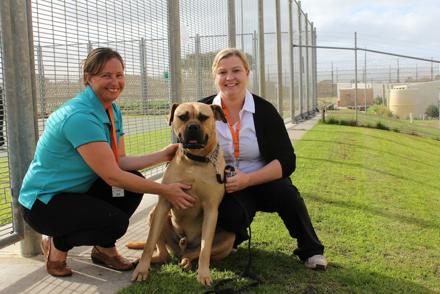 Two women crouching with a large dog inside a prison complex