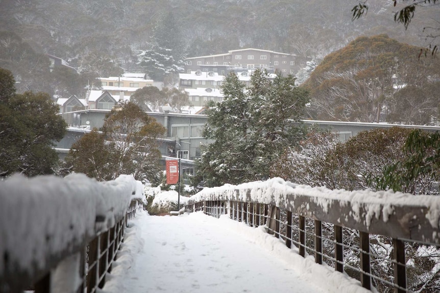 snow on railings, trees and houses in the background