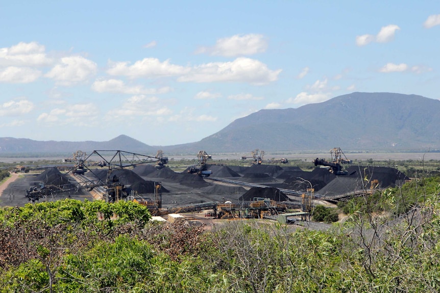 Stacker-reclaimers tower over stockpiles of coal at the Abbot Point port site.