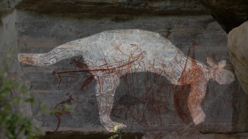 A painting of an extinct giant kangaroo painting onto a rock wall by Aboriginal people.
