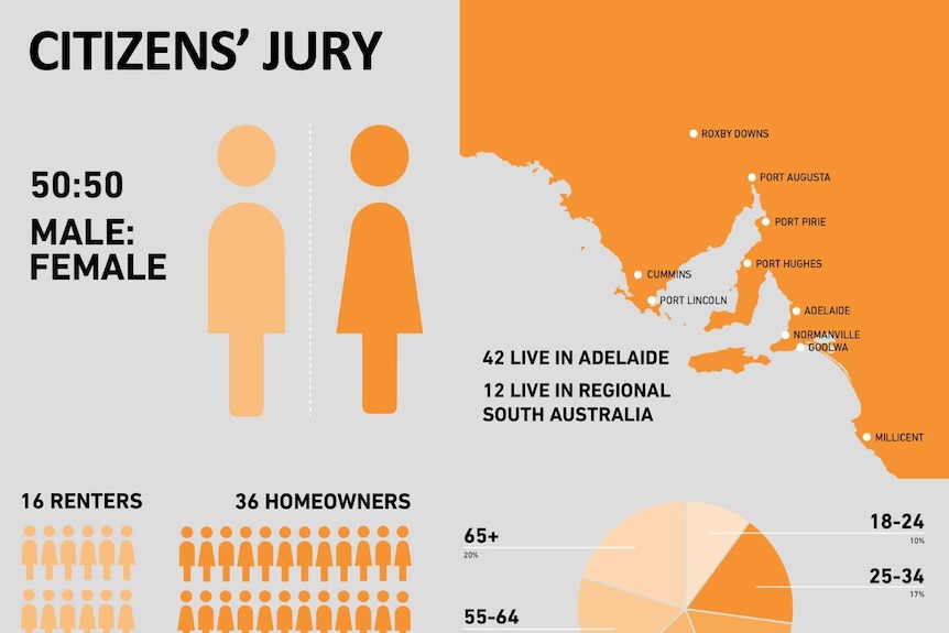 Citizens' Jury