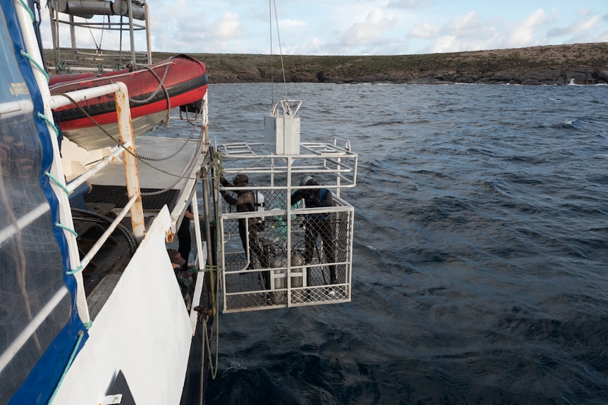 Two divers in a cage hanging from the side of the boat.