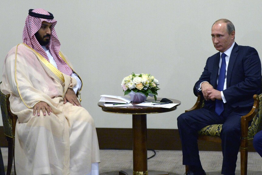 Vladimir Putin meets Abu Dhabi's Crown Prince Mohammed bin Zayed Al Nahyan