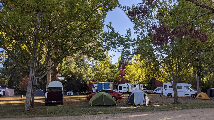 caravan park with tents and caravans 