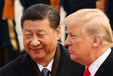 US President Donald Trump, Chinese President Xi Jinping at a ceremony in the Great Hall of the People in Beijing, November 2017