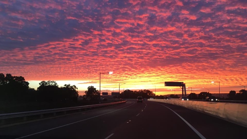 On the freeway. May 23, 2016.