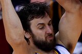 Slam dunk ... Andrew Bogut posts a basket for the Warriors in their win over the Caveliers